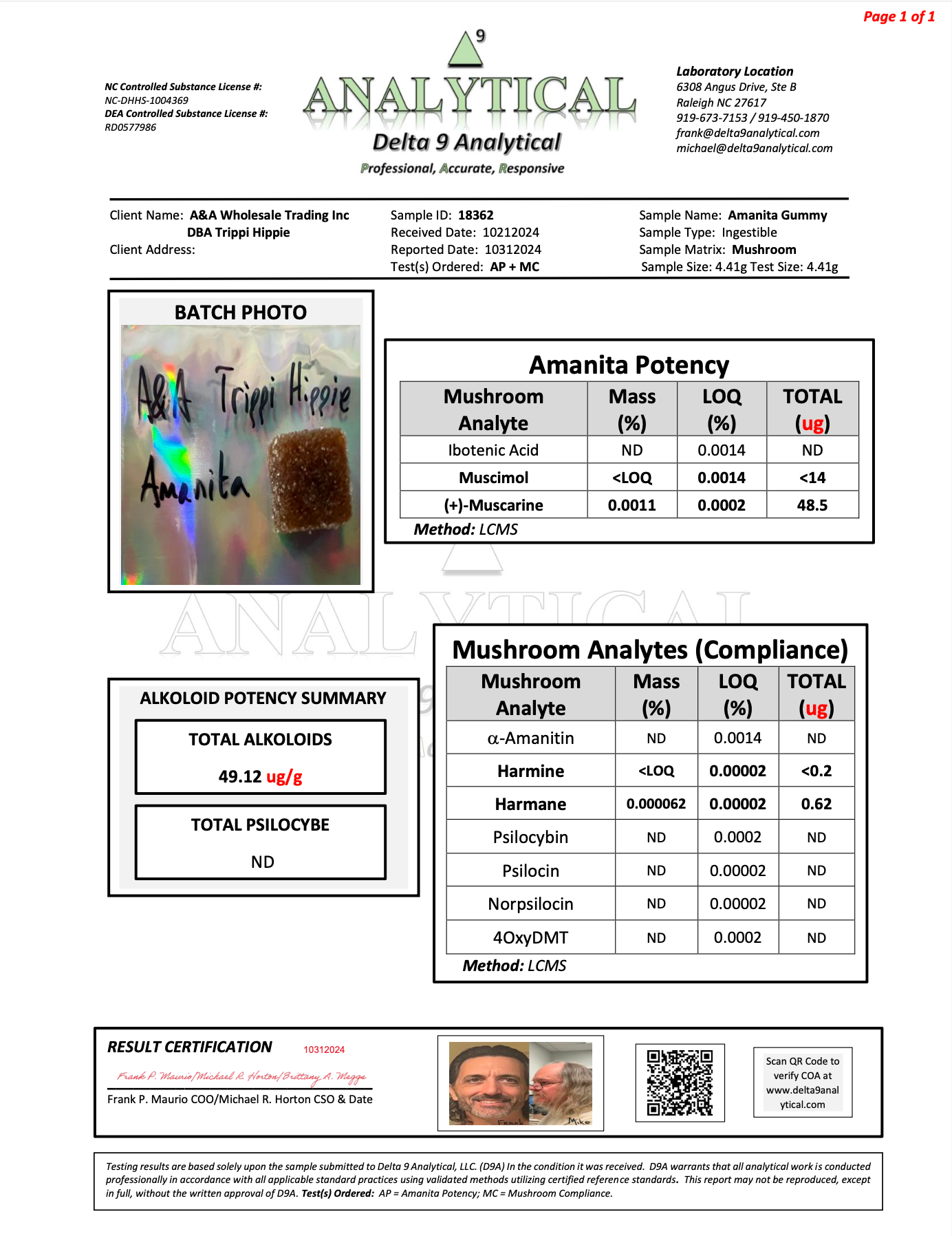 MUSHROOM CHEWS 10 PACKS/ 5 CHEWS PER PACK- 250MG PER GUMMY PEACH MANGO