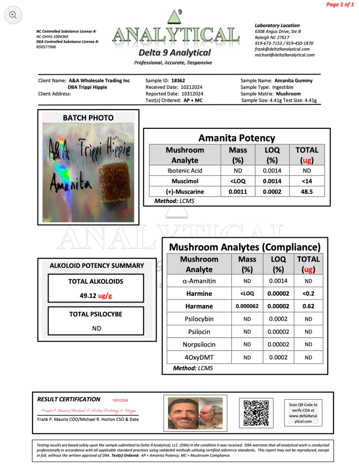 MUSHROOM CHEWS 10 CHEWS PER PACK - Strawberry