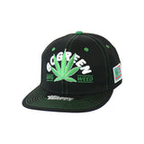 Go Green Leaf Embroidered Snapback Hat