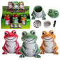 Frog Grinder 6 pcs Display