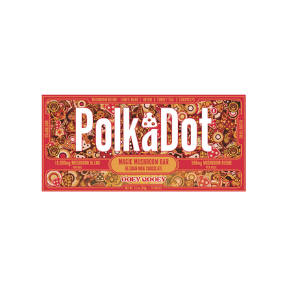 Ooey Gooey Chocolate Bar