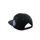 Amrican Eagle Hat Embroidered Snapback Hat