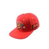 BASEBALL Hat Embroidered Snapback Hat