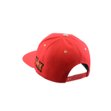 BASEBALL Hat Embroidered Snapback Hat