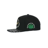 Snapback Hats Joint Holding Embroidered