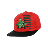 Dope Canna Leaf Embroidered Snap Hat