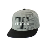Texas Embroidered Snapback Hat