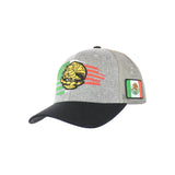 Mexican Eagle Hat Embroidered Snapback