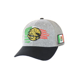 Mexican Eagle Hat Embroidered Snapback