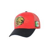 Mexican Flag Embroidered Snapback Hat