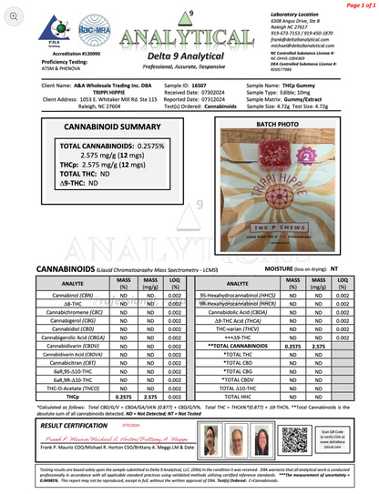 THC-P Gummies 25ct per Bottle Watermelon