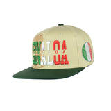 Sinaloa Embroidered Snapback Hat