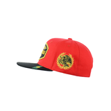 Zacatecas  Embroidered Snapback Hat