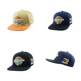 California Embroidered Snapback Hat