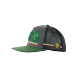 Mexico Embroidered Snapback Hat