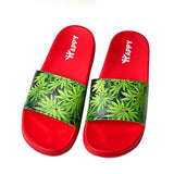 Green Weed Leaf Print Red Slide Sandals - Pack of 4 Sizes - 7, 9, 11, 12