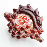4.5" Hand Pipe sea Shell Design 150-160 Grams - LA Wholesale Kings