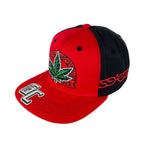 Snapback "Cannabis" Hat Embroidered